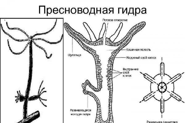 Как зайти на кракен с телефона андроид